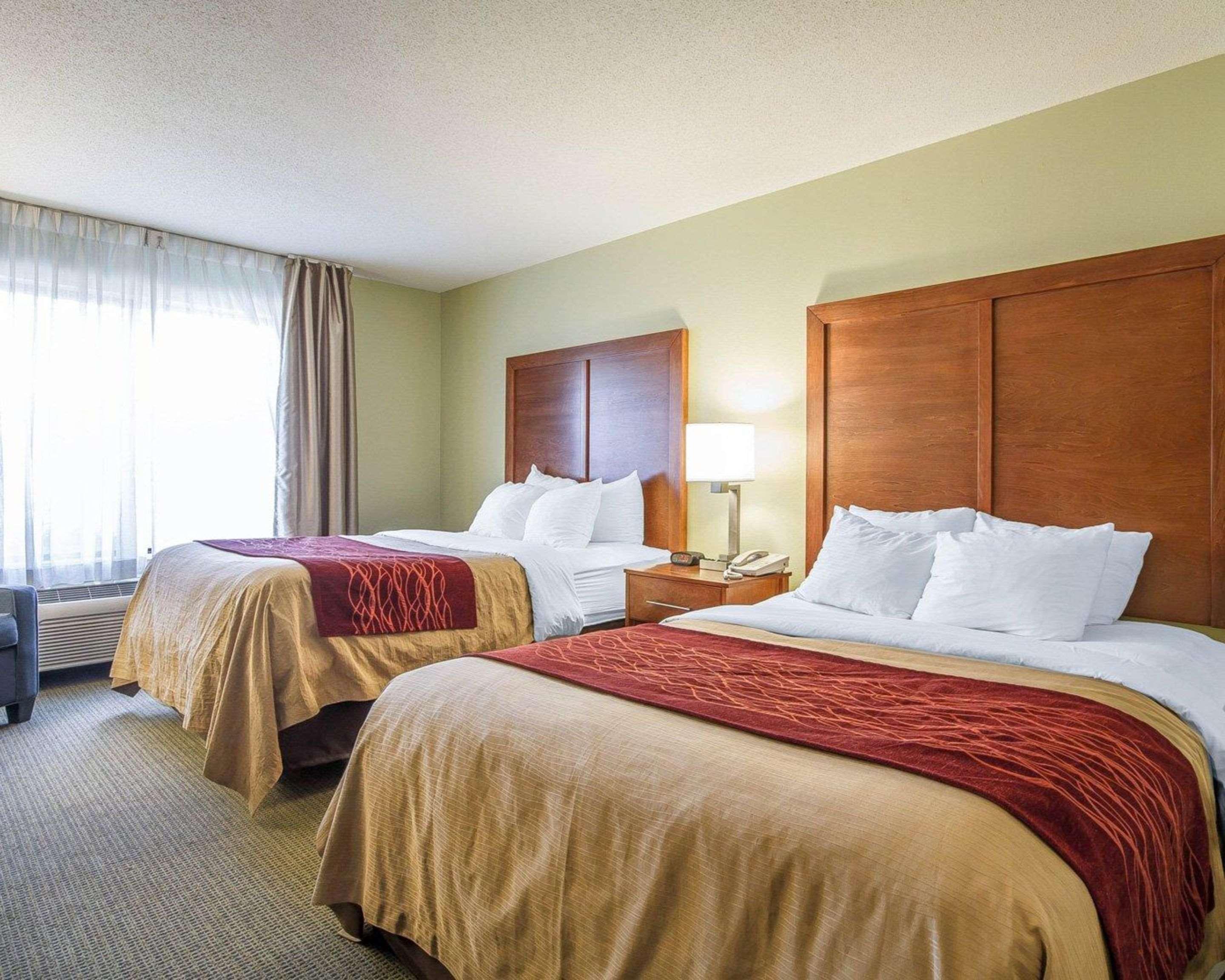 Comfort Inn & Suites Black River Falls I-94 Dış mekan fotoğraf
